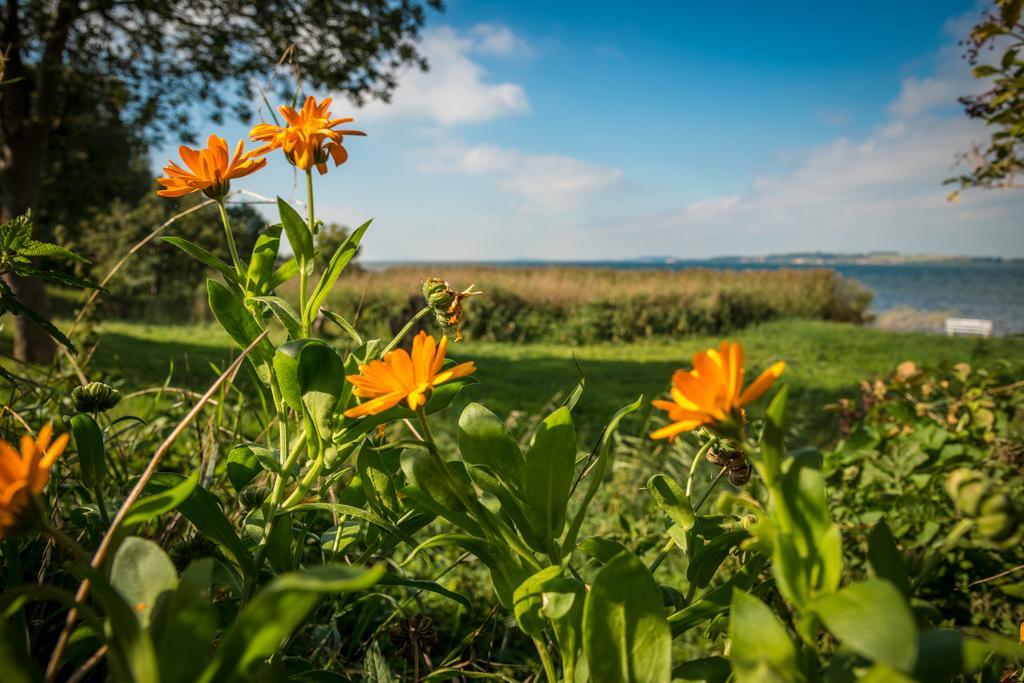 Ferienwohnungen Mueller Gager Buitenkant foto